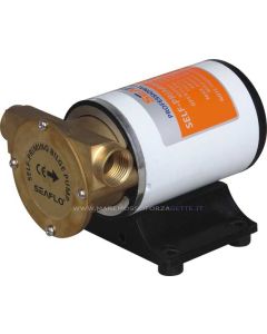 Pompa Di Sentina Per Barca Seaflo 12volt 30 Litri/minuto