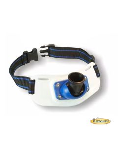 Cintura di combattimento Bolentino Stonfo 128 con bicchierino