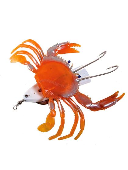 Polpaia armata con granchio Orange gr 280