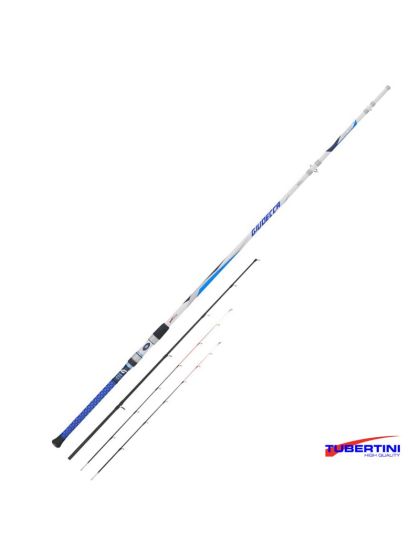 Canna Tubertini Giudecca ad innesti 