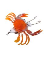 Polpaia armata con granchio Orange gr 280
