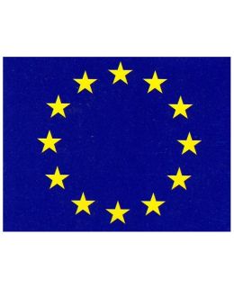 Bandiera europa in poliestere