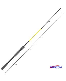 Canna Tubertini Intense AR 