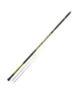 CANNA TUBERTINI OVERSEA