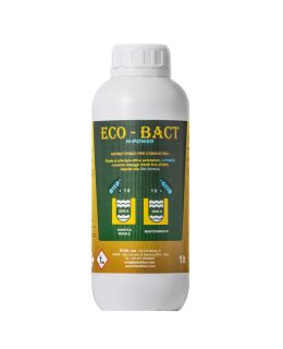 Eco-Bact battericida per gasolio 1 Litro
