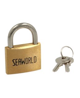 Lucchetto marino in bronzo con arco inox 