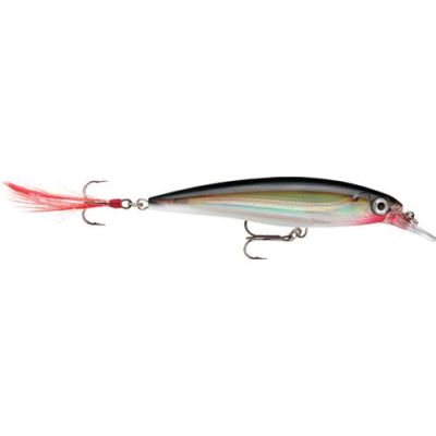 Artificiale Rapala X-Rap 10 Cm Colore S