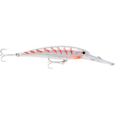 Artificiale Rapala X-Rap Magnum 12 Centimetri CG