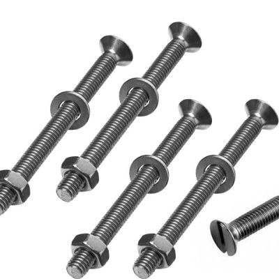 Vite inox 316 Ø 6mm x 30mm con Dado e rondella Blister 4 pezzi