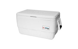 Ghiacciaia Igloo marine ultra 36 QT Litri 34 cm 60x35x33h